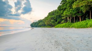 Andaman tour package