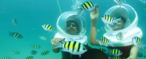 andaman package