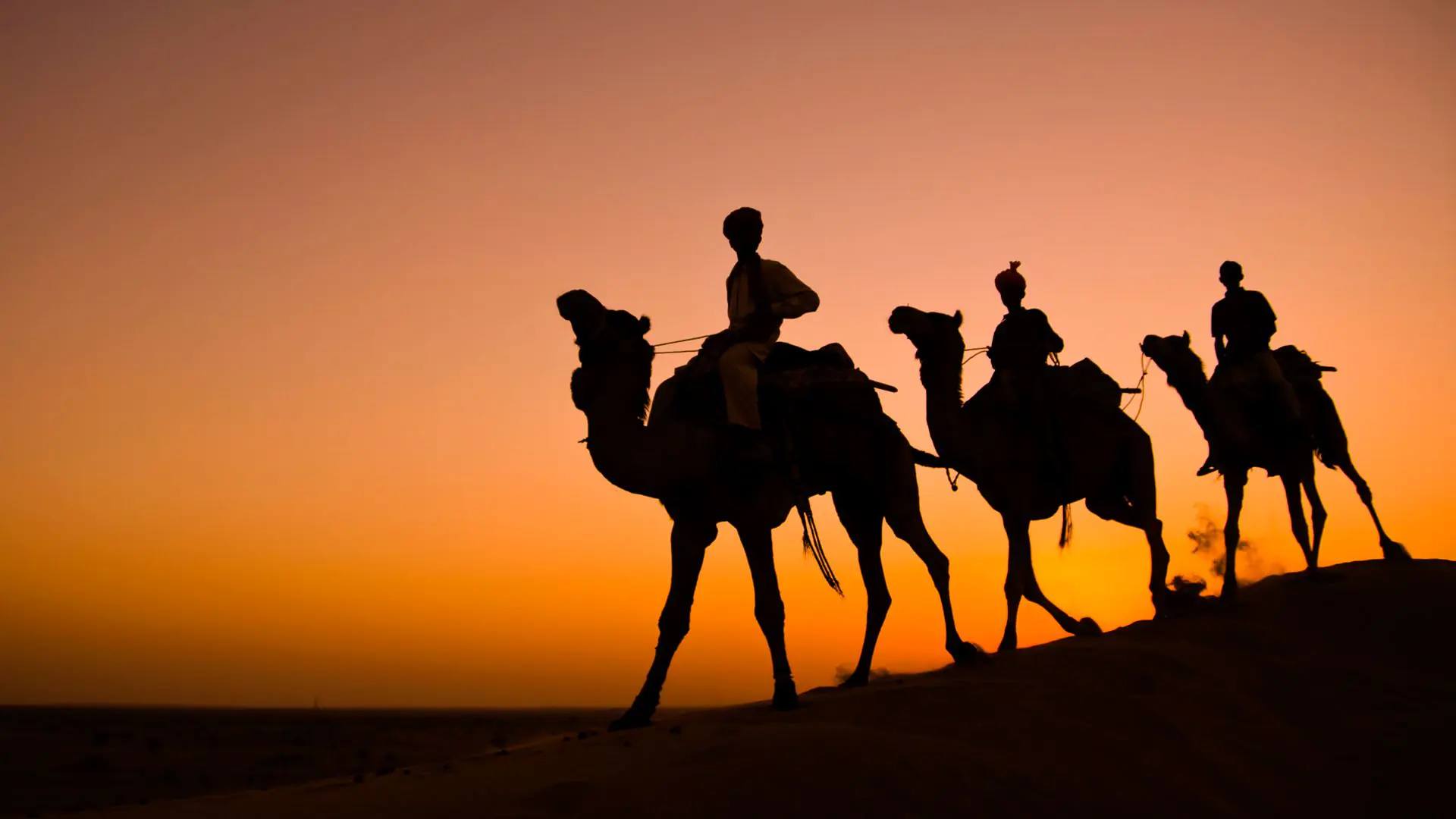 Reasons why you should visit Rajasthan
