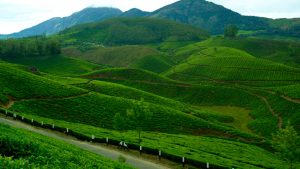 munnar Hill Stations