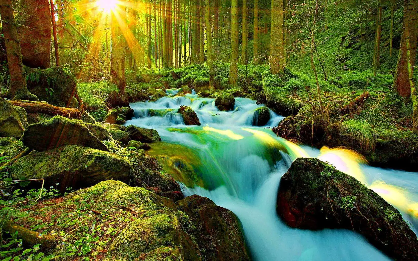 Top 5 famous waterfalls of Kerala
