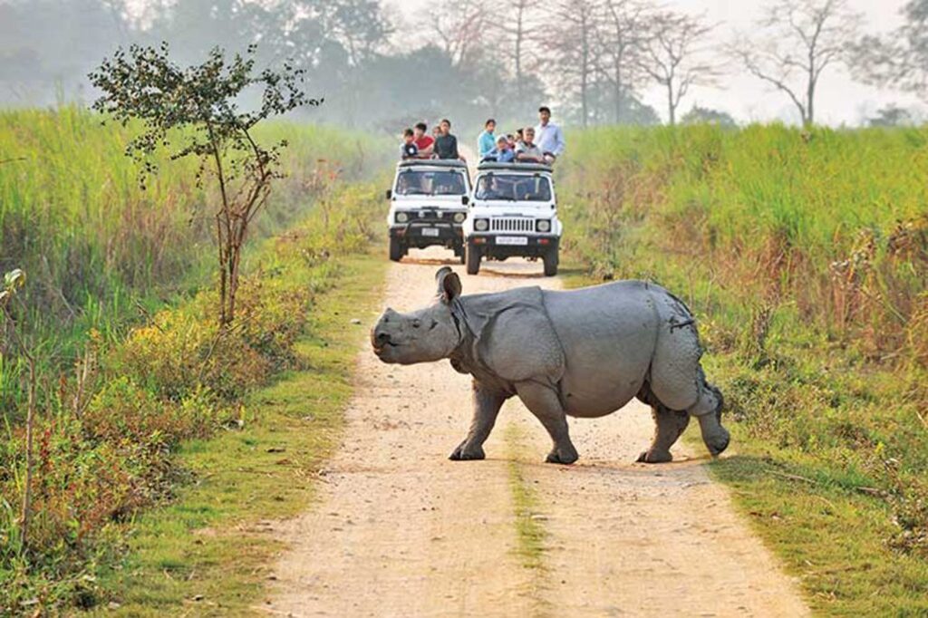 what is wildlife tourism in india
