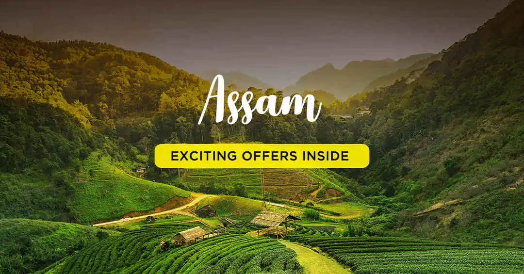 assam_tour
