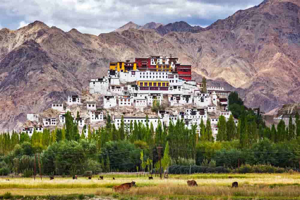 Make Leh-Ladakh your next destination to celebrate quality times