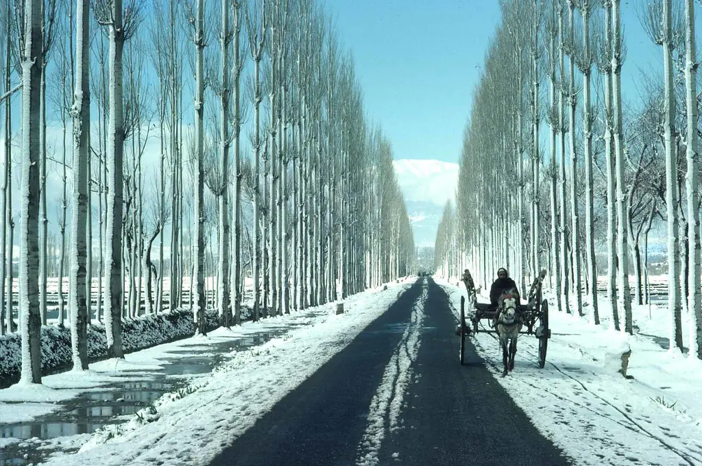 What do I need to know before traveling to Kashmir