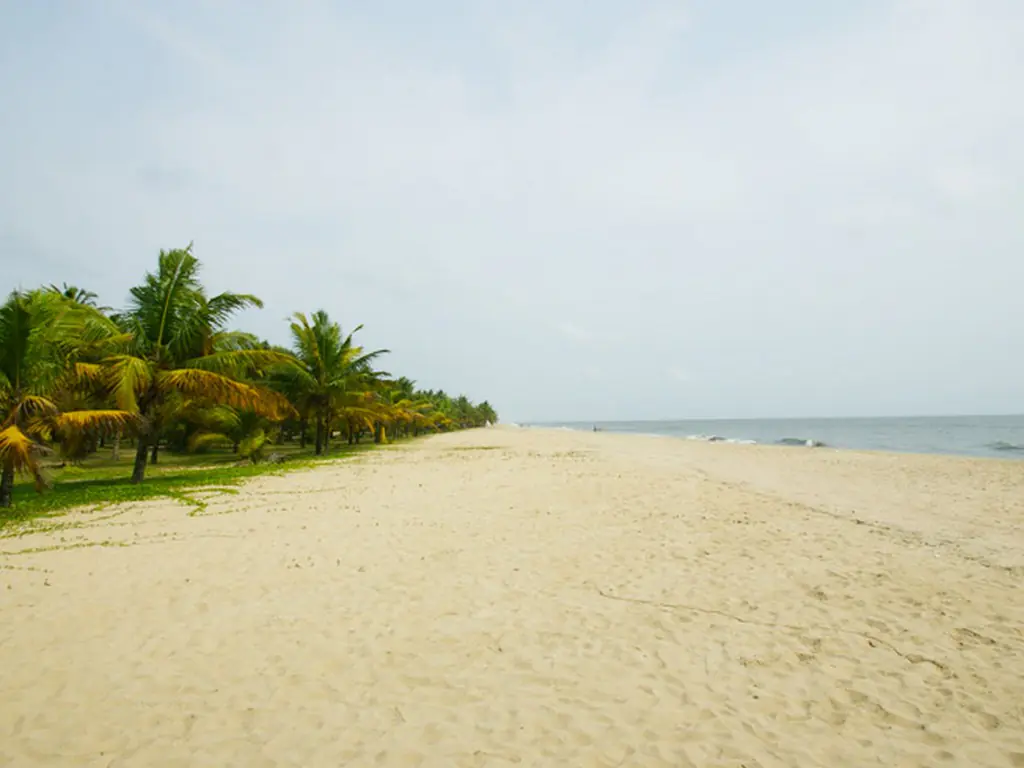 Tranquil Sea Beach