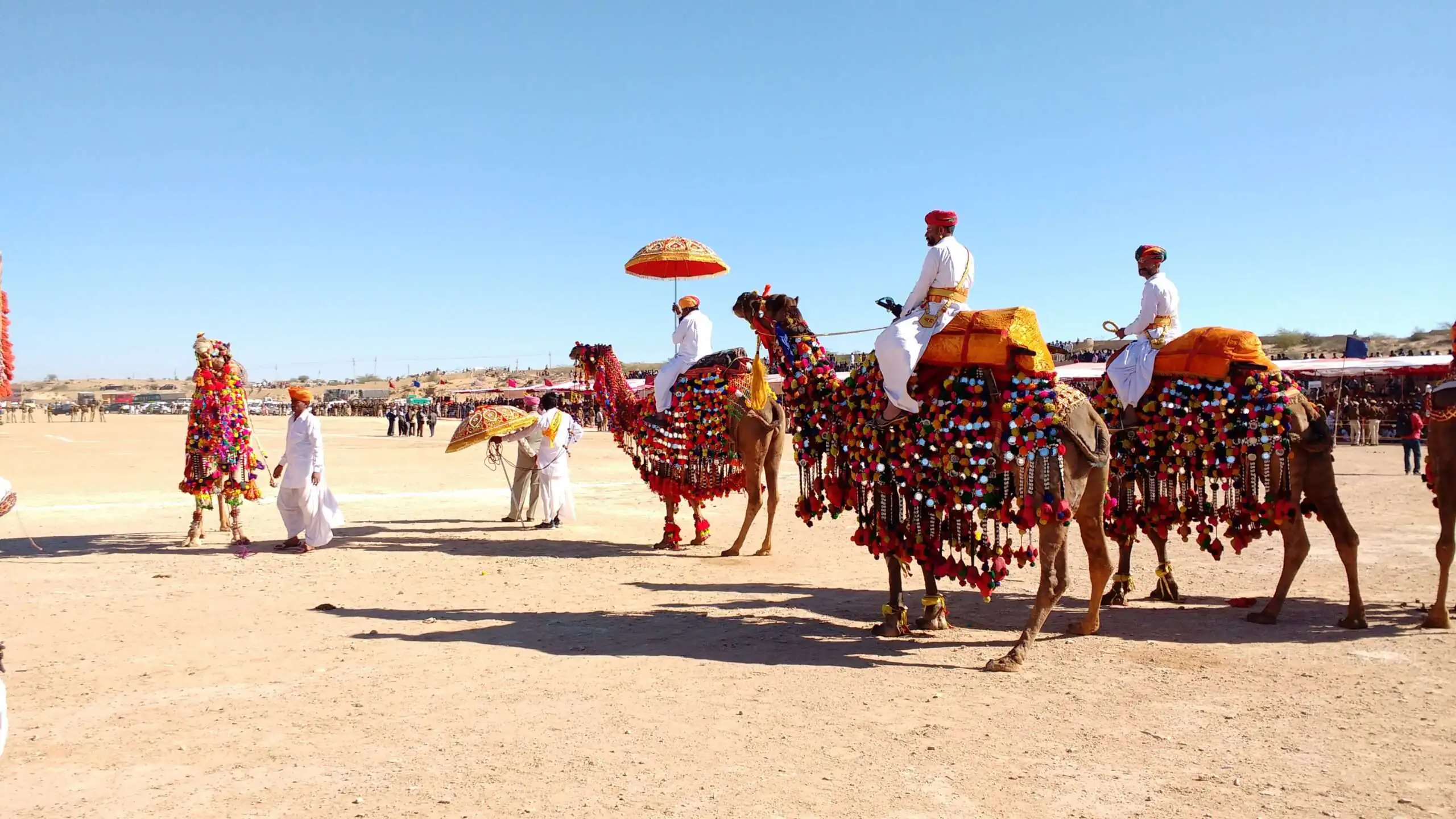 desert safari rajasthan