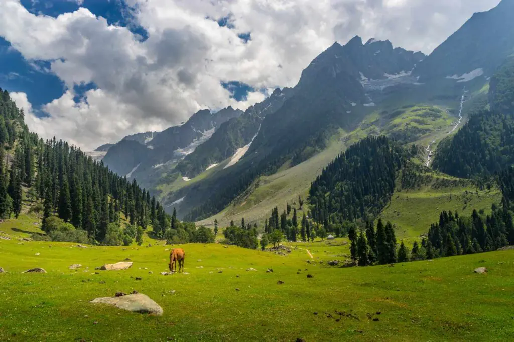 Kashmir tour package,