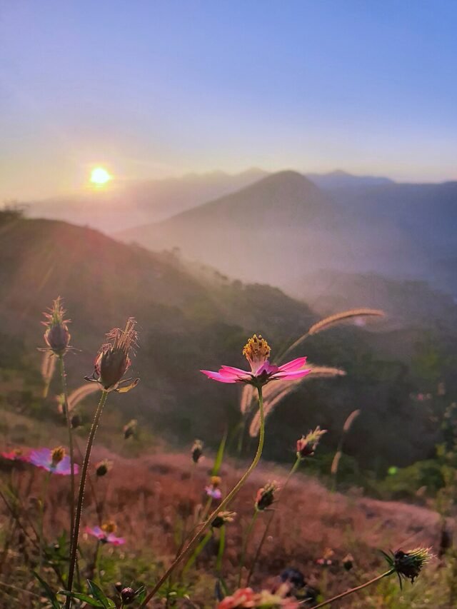 10 Hill Stations in South India