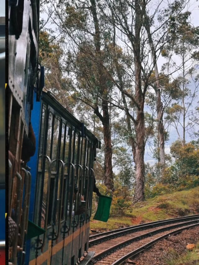 Darjeeling Himalayan railway