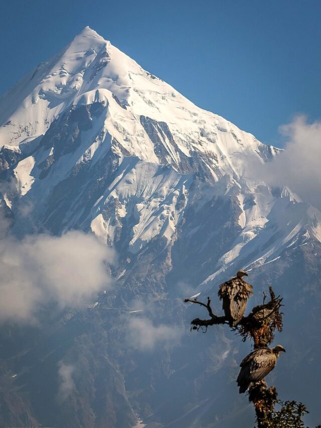 Munsiyari, Uttarakhand