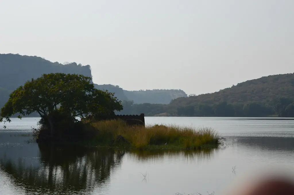 Subhayan Bhattacharyya, CC BY-SA 4.0 <https://creativecommons.org/licenses/by-sa/4.0>, via Wikimedia Commons