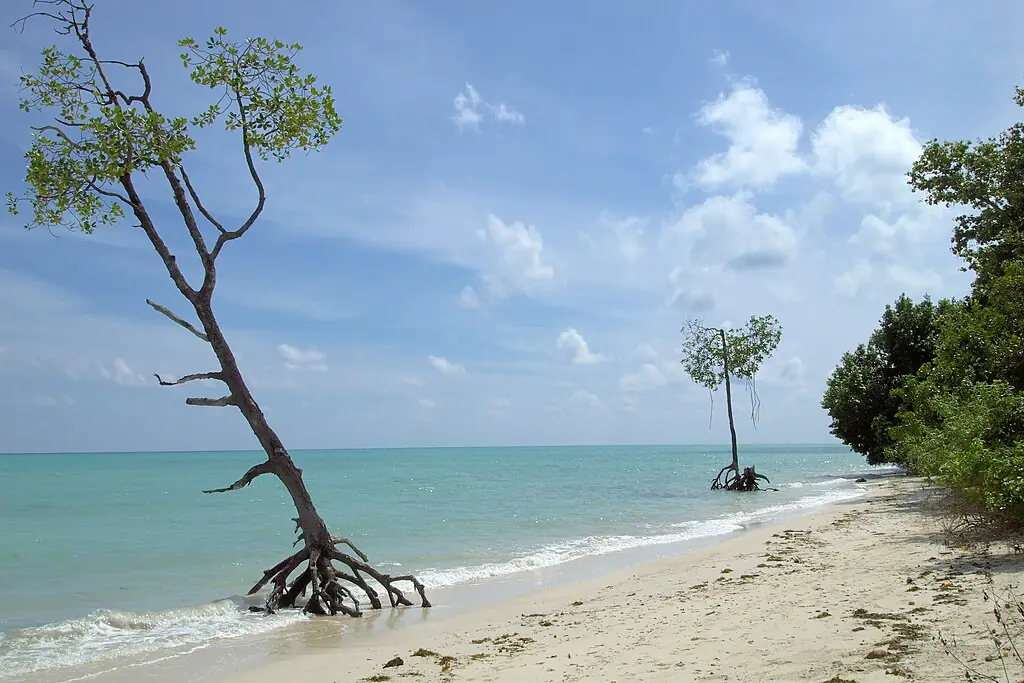 © Vyacheslav Argenberg / http://www.vascoplanet.com/, CC BY 4.0 <https://creativecommons.org/licenses/by/4.0>, via Wikimedia Commons-India's diverse geography