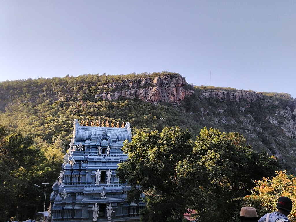 Dinesh Kumar (DK) from Bangalore, Karnataka, India, CC BY-SA 2.0 <https://creativecommons.org/licenses/by-sa/2.0>, via Wikimedia Commons-Tirupati Balaji Temple