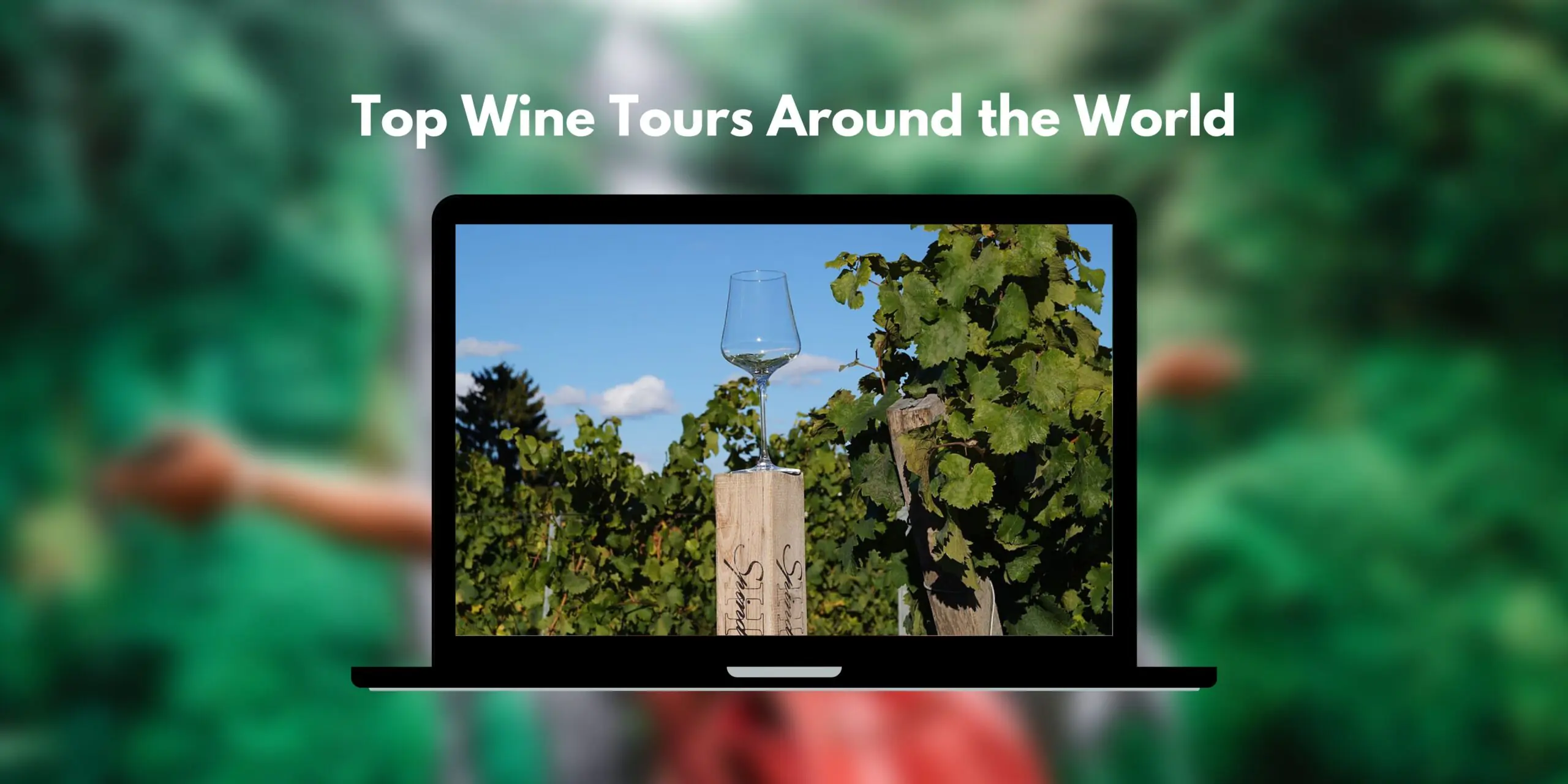 Top Wine Tours Around the World