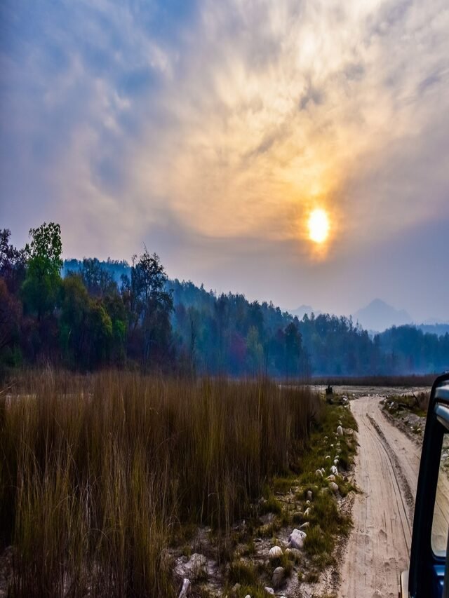 Rajaji National Park, Uttarakhand