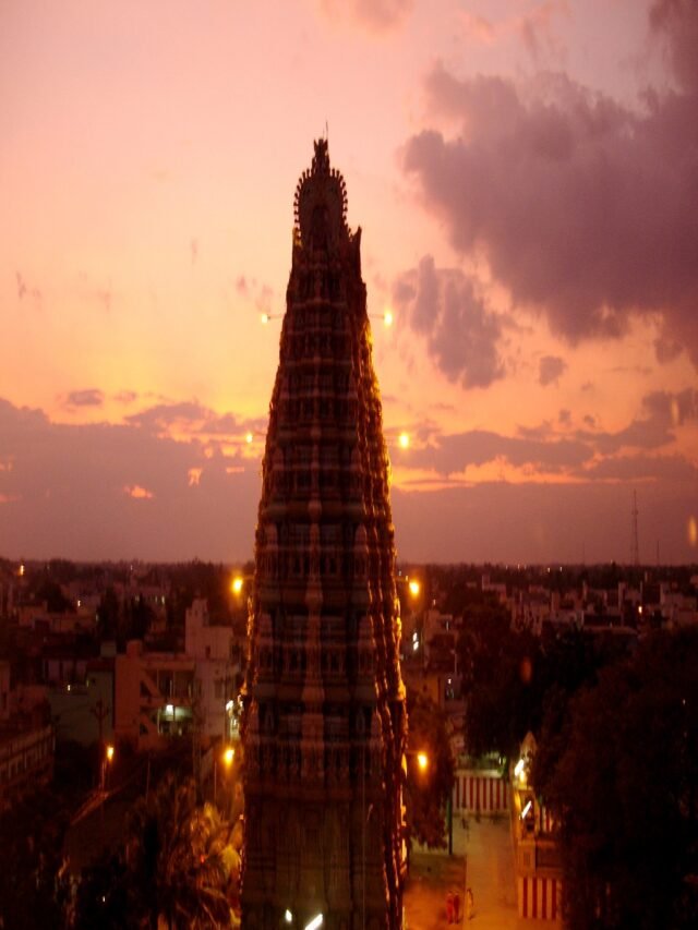 Why Visit India's Mini Japan This Monsoon?