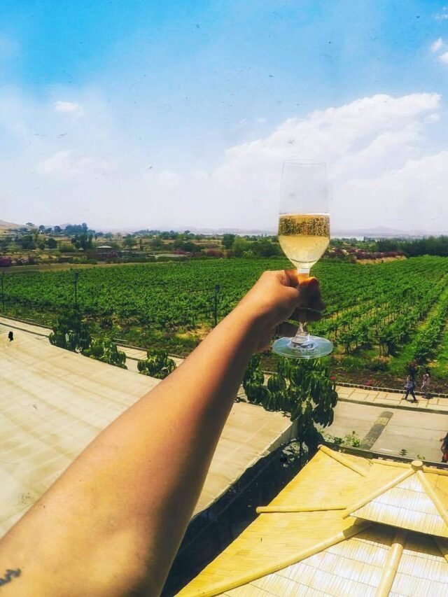Vineyards to Visit india