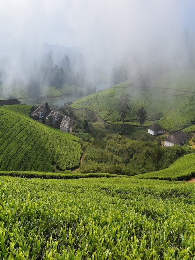Meghamalai, Tamil Nadu