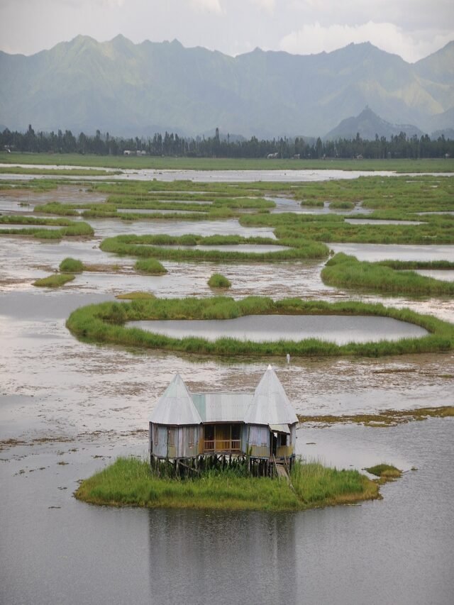 Loktak Lake Manipur: A Scenic Drive to Floating Islands