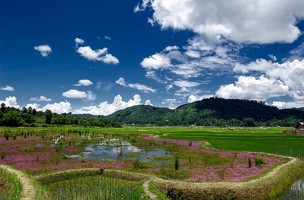 Arunachal2007, CC BY-SA 4.0 <https://creativecommons.org/licenses/by-sa/4.0>, via Wikimedia Commons