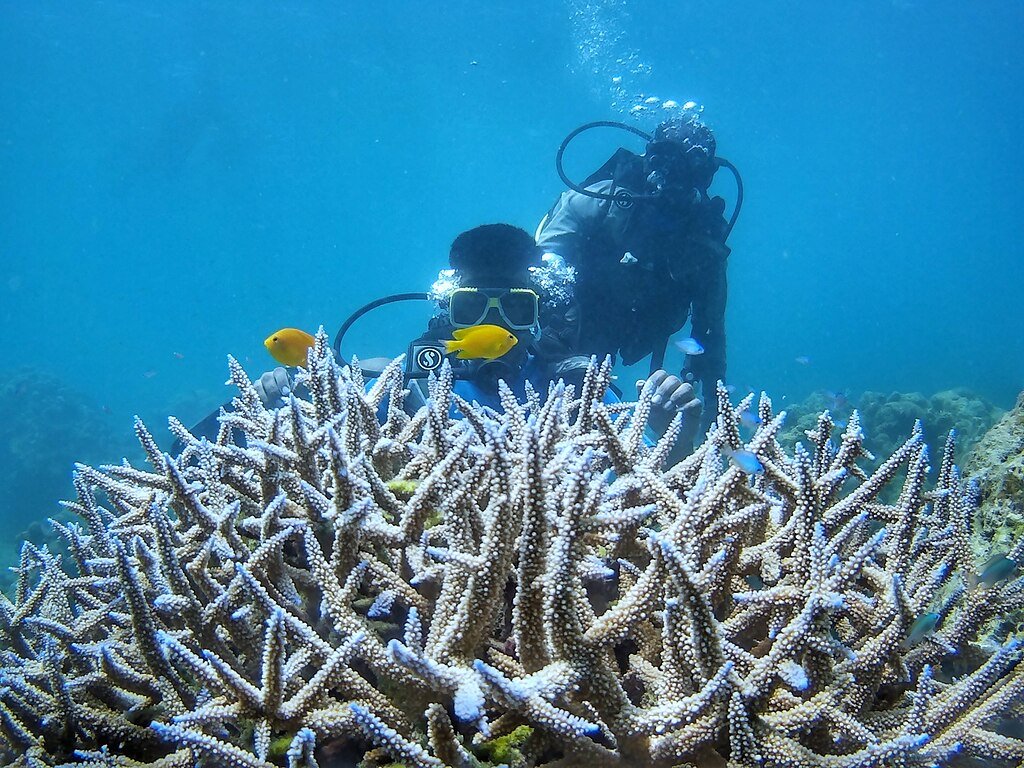 Kishlay singh, CC BY-SA 4.0 <https://creativecommons.org/licenses/by-sa/4.0>, via Wikimedia Commons-places to visit in December in India