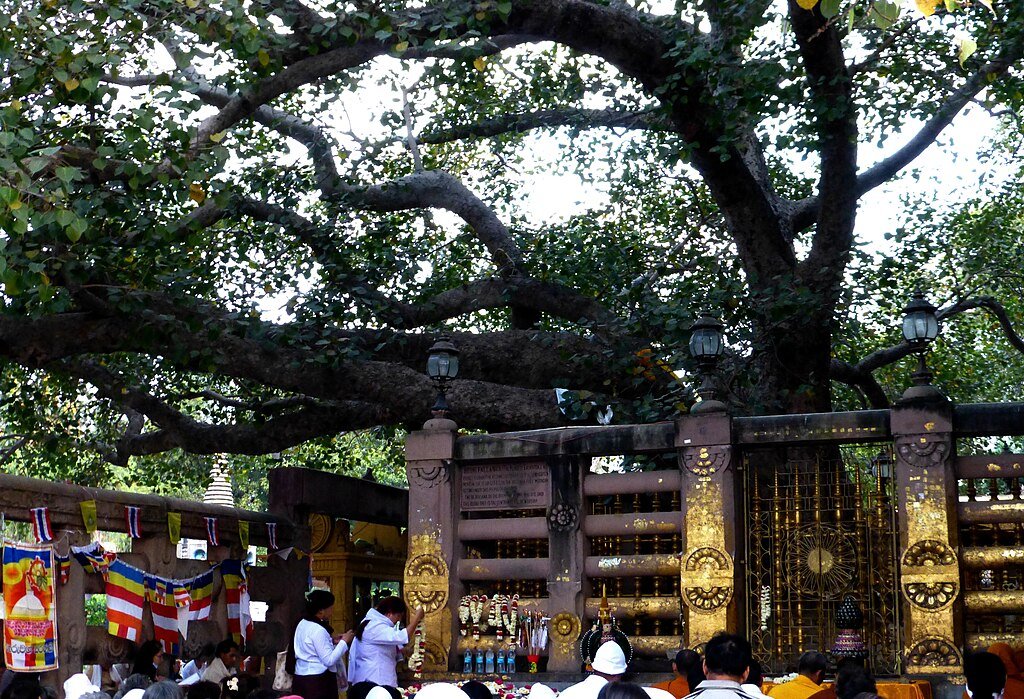 Photo Dharma from Penang, Malaysia, CC BY 2.0 <https://creativecommons.org/licenses/by/2.0>, via Wikimedia Commons