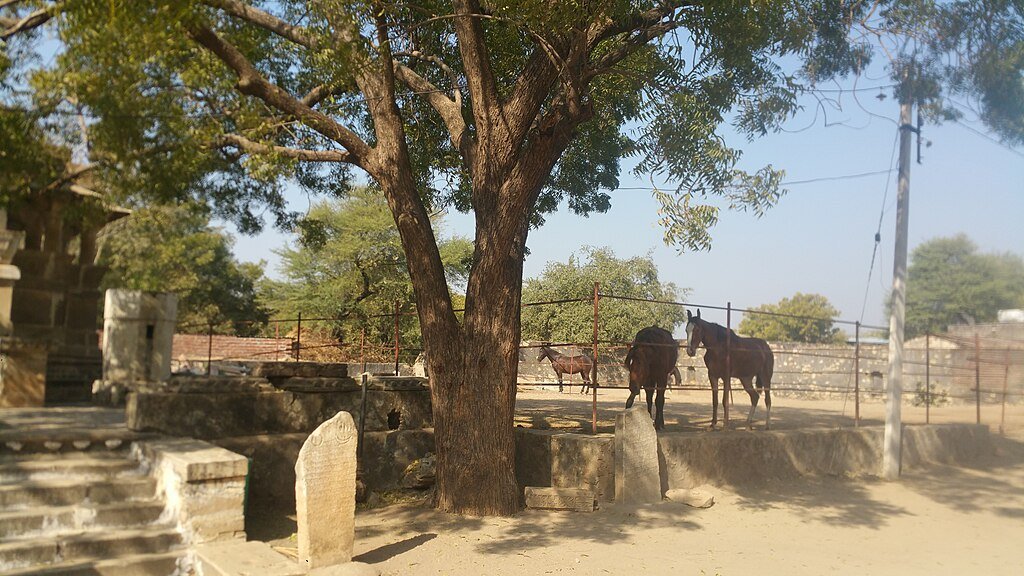 Bonnielou2013, CC BY-SA 4.0 <https://creativecommons.org/licenses/by-sa/4.0>, via Wikimedia Commons-Best Exotic Marigold Hotel Tour India