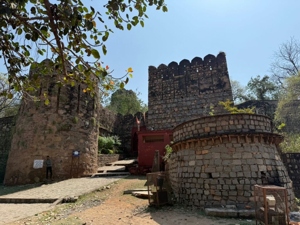 Image Credit - Sarvjeet Sankrit - Hidden Gems of Bundelkhand