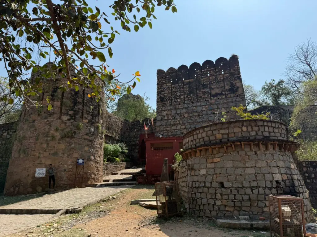 Image Credit - Sarvjeet Sankrit - Hidden Gems of Bundelkhand