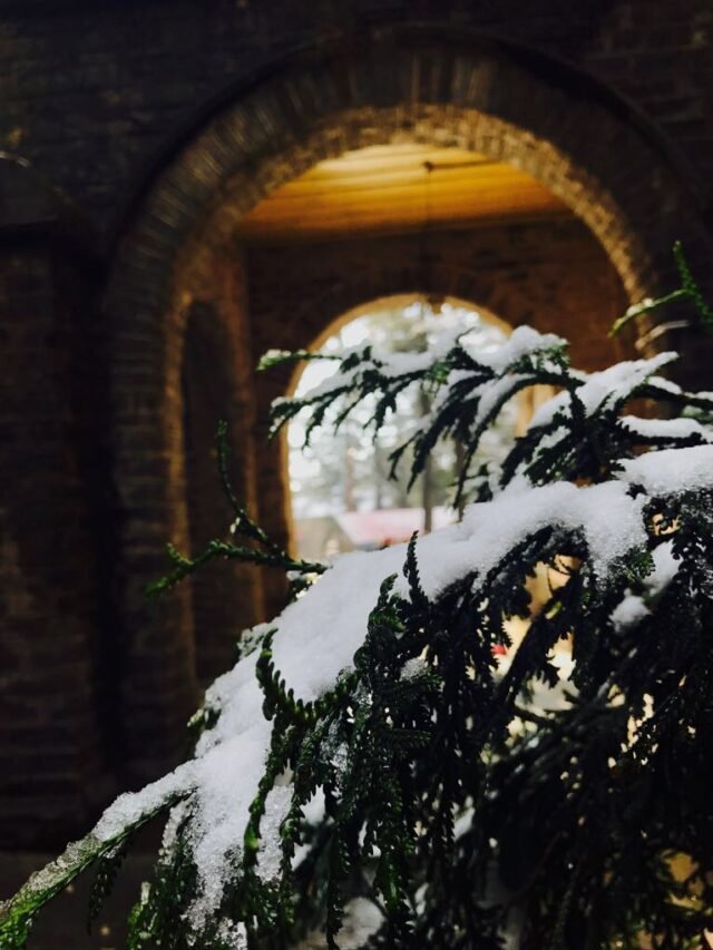 Visit These 5 Places in India