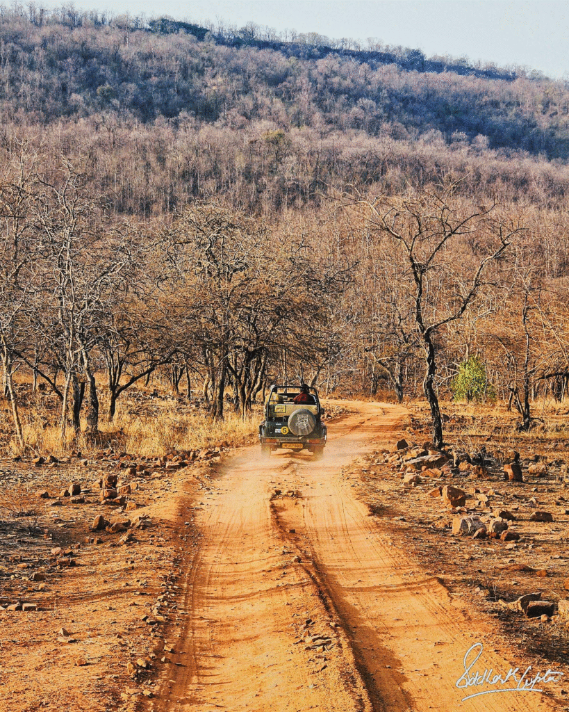 MrSiddharthGupta, CC BY-SA 4.0 <https://creativecommons.org/licenses/by-sa/4.0>, via Wikimedia Commons