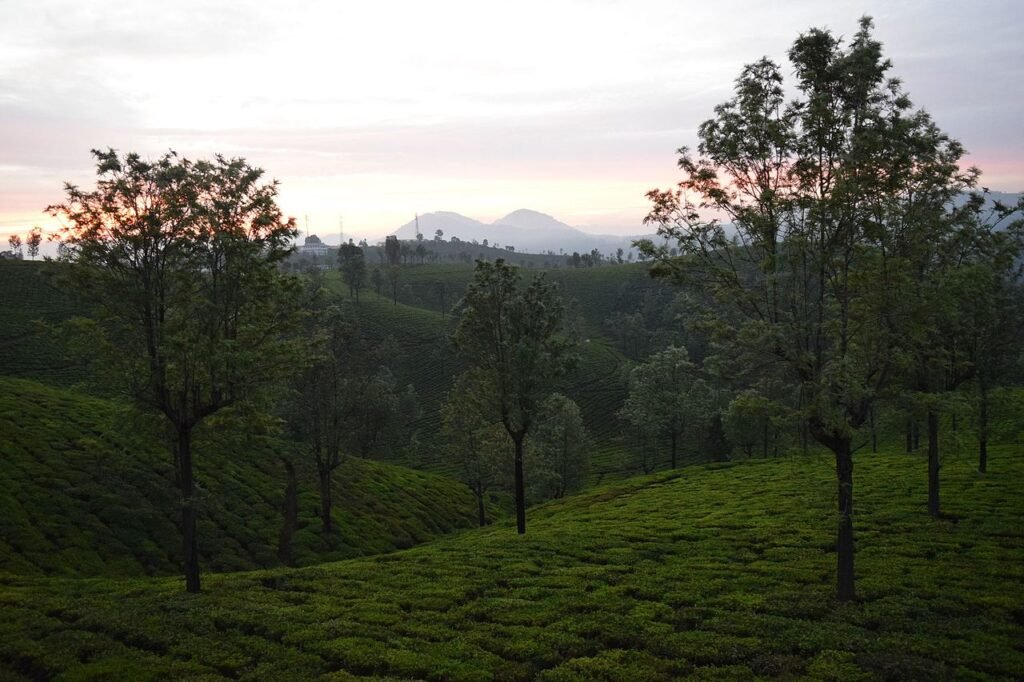 CySharma, CC BY-SA 4.0 <https://creativecommons.org/licenses/by-sa/4.0>, via Wikimedia Commons-Important Hill Stations of South India