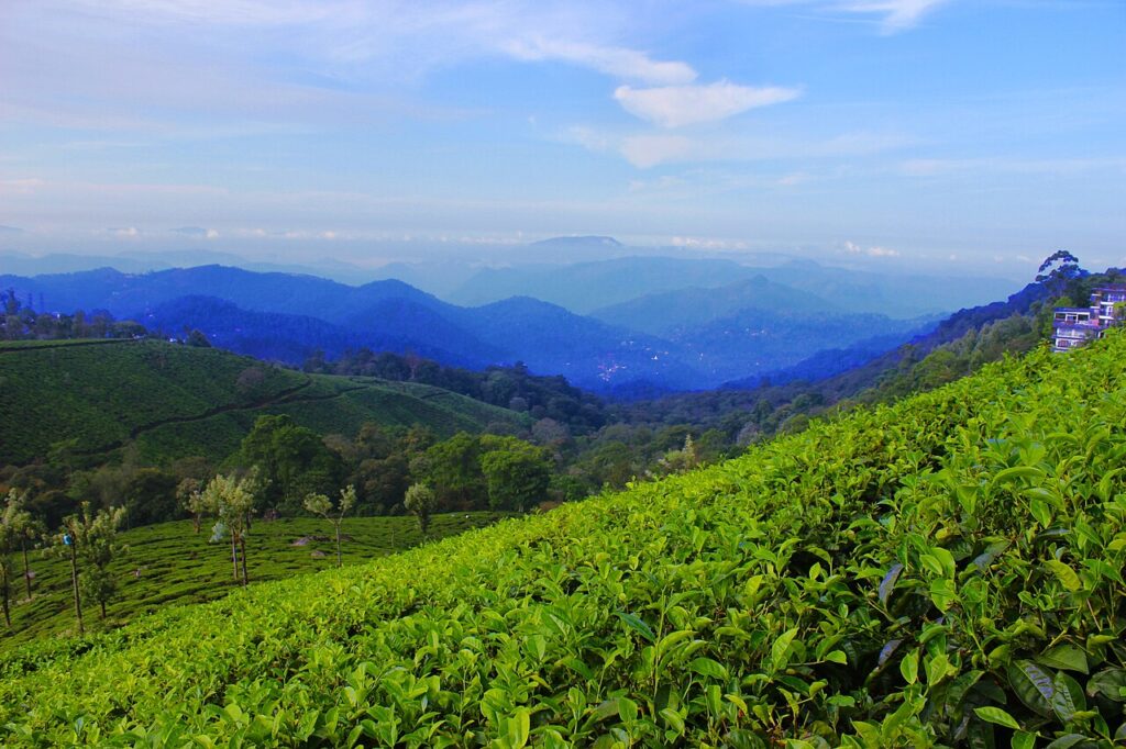 Sanu N, CC BY-SA 4.0 <https://creativecommons.org/licenses/by-sa/4.0>, via Wikimedia Commons-Important Hill Stations of South India