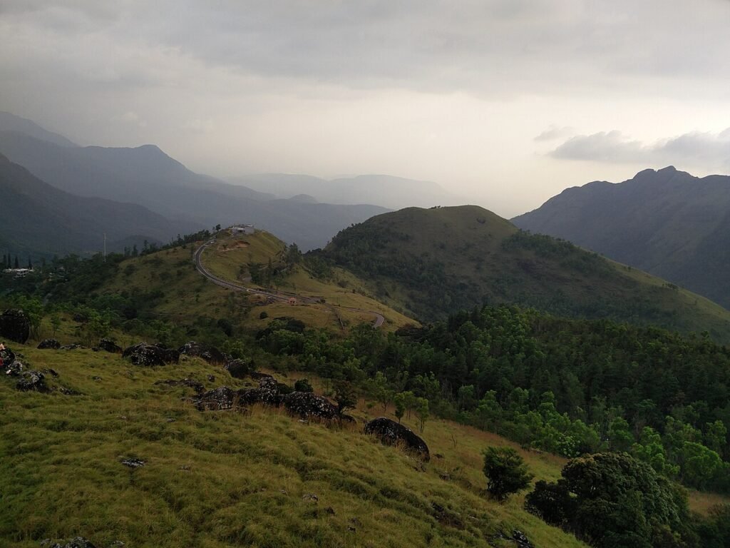Rinijahan, CC BY-SA 4.0 <https://creativecommons.org/licenses/by-sa/4.0>, via Wikimedia Commons