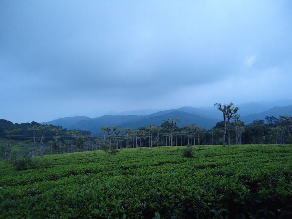 rajaraman sundaram, CC BY 3.0 <https://creativecommons.org/licenses/by/3.0>, via Wikimedia CommonsImportant Hill Stations of South India