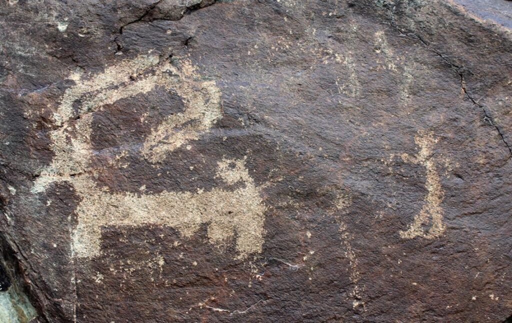 Petroglyph Site at Murgi-Ladakh Protected Monuments