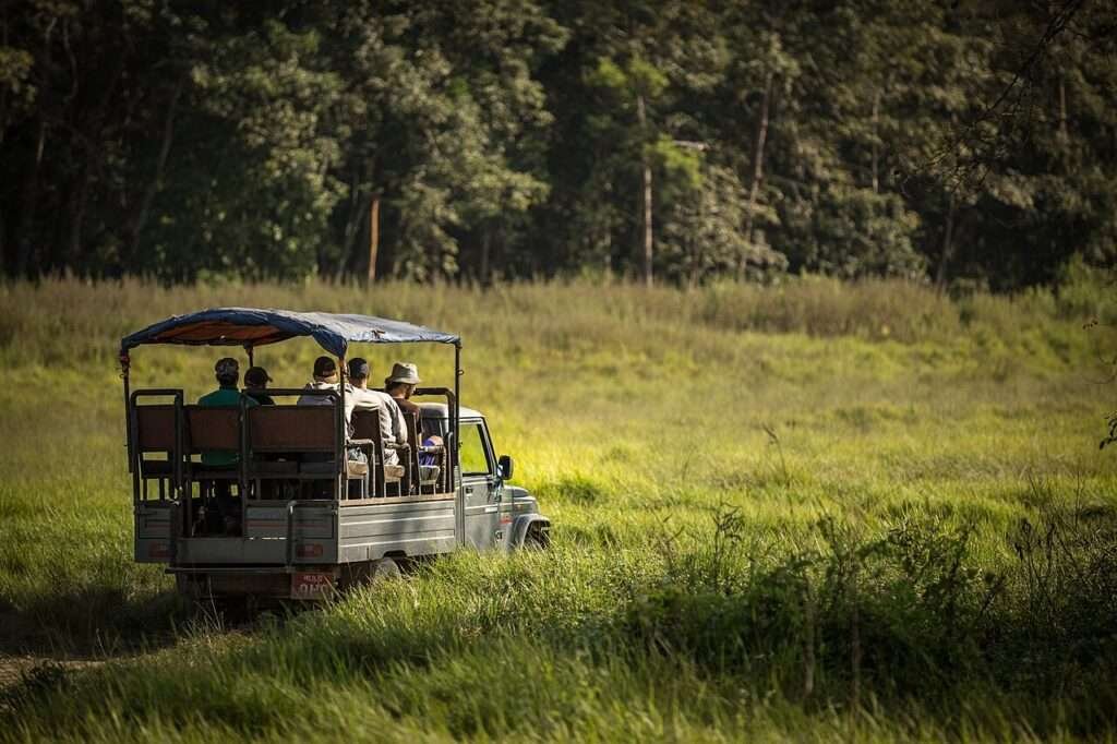 Chitwan National Park Travel Guide